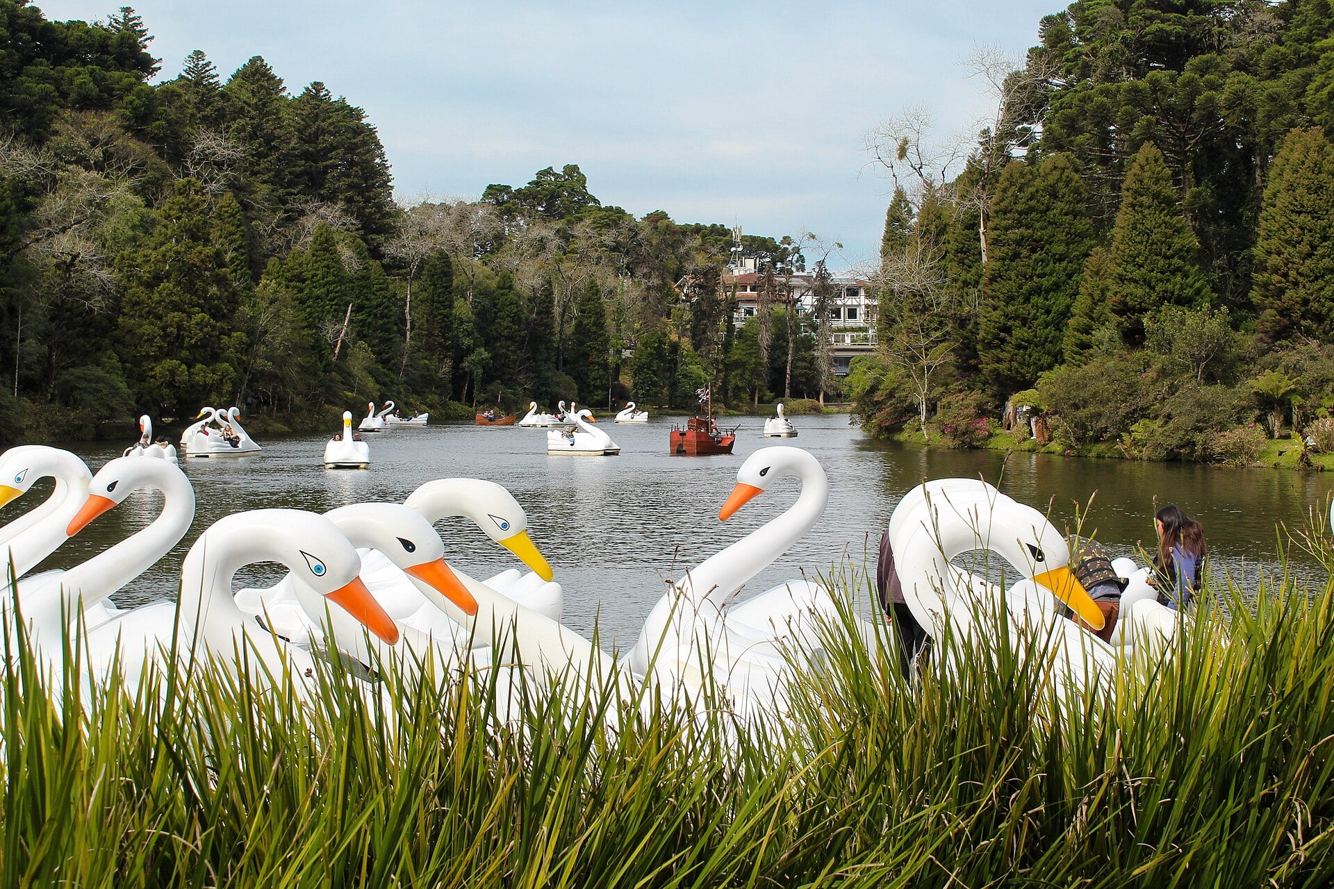 Pedalinhos em forma de cisne no Lago Negro, em Gramado